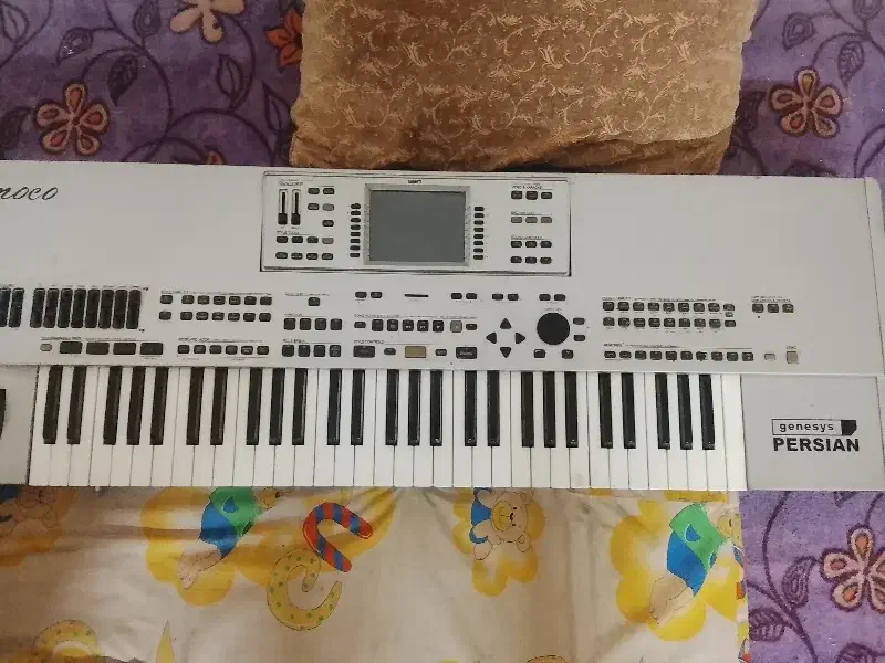 ارگ|پیانو، کیبورد، آکاردئون|مشهد, هفت تیر (نه دره)|دیوار