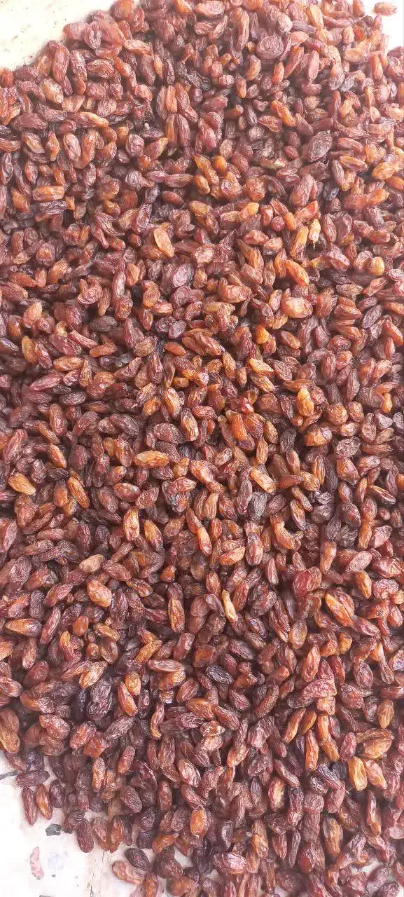 کشمش کاشمر آفتابی بدون دود|خوردنی و آشامیدنی|نیشابور, گمنام غربی|دیوار