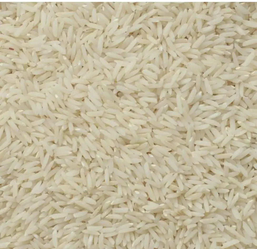 برنج شمال|خوردنی و آشامیدنی|آبیک, |دیوار