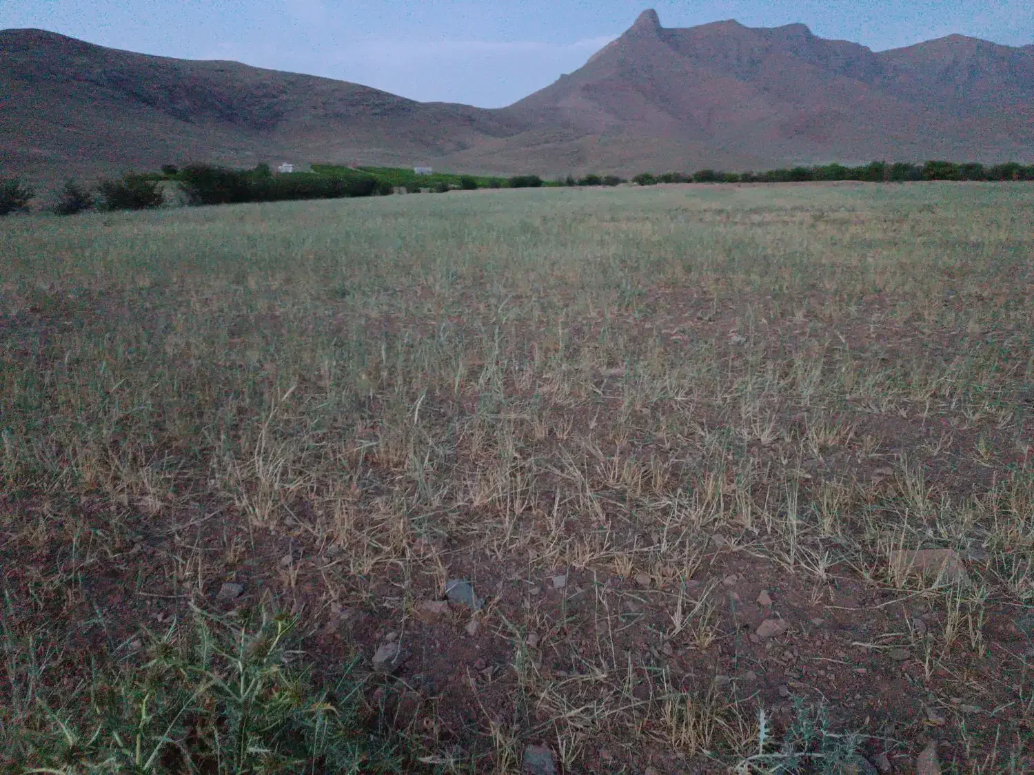 زمین|فروش زمین و ملک کلنگی|قره چای, |دیوار