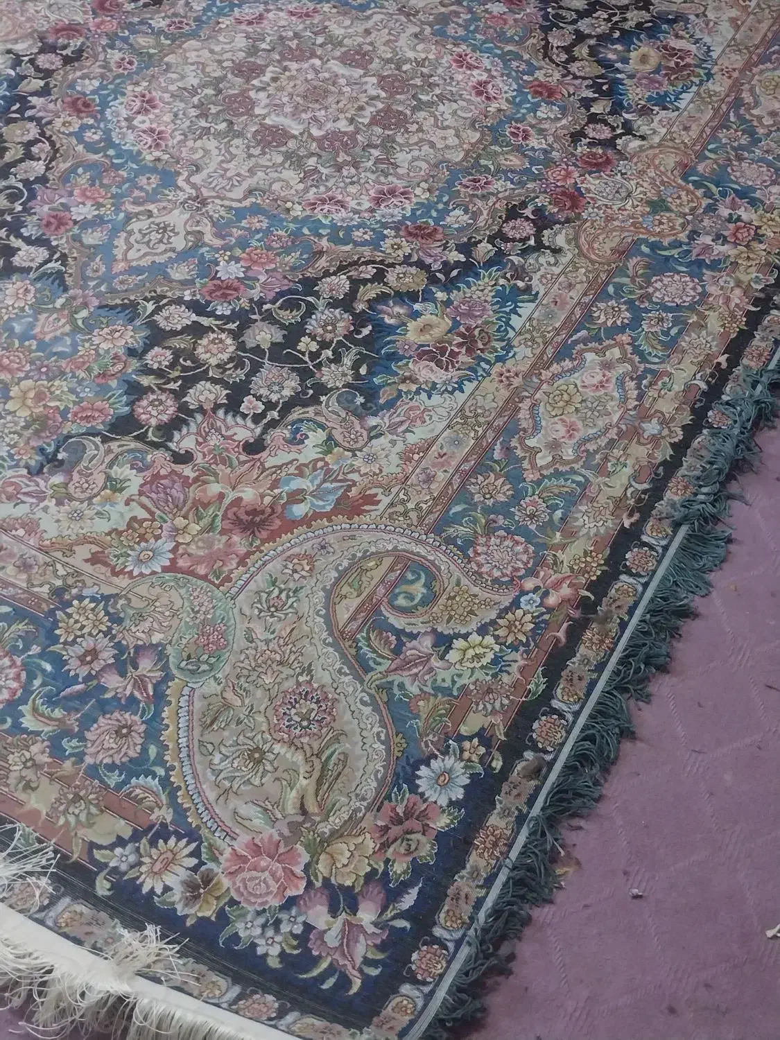 فرش دستبافت ۱۲متری سالاری دو متن و ابریشم رج ۵۰|فرش|اسکو, |دیوار