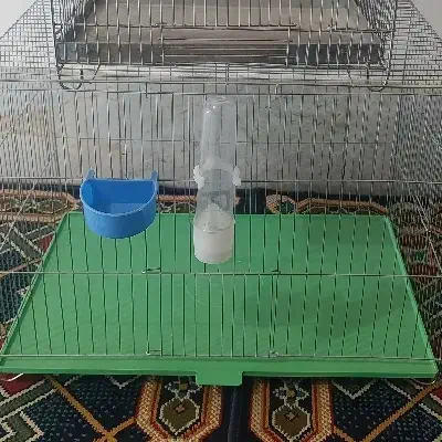 قفس قناری بزرگ همراه دون خوری واب خوری|لوازم جانبی حیوانات|تفت, |دیوار