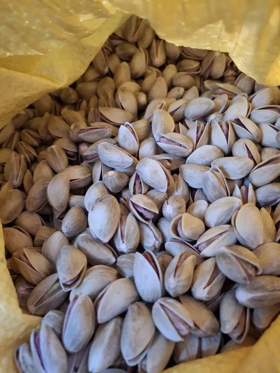 پسته خشک خندان دامغان امساله|خوردنی و آشامیدنی|تهران, میرداماد|دیوار