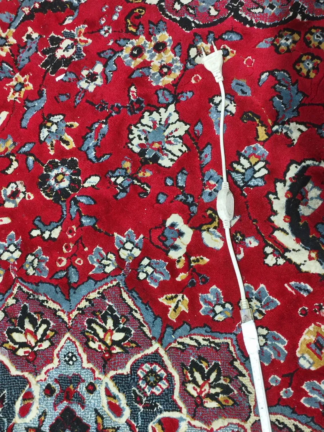 ریسه شلنگی|ریسه و چراغ تزئینی|شیراز, شهرک بهار|دیوار