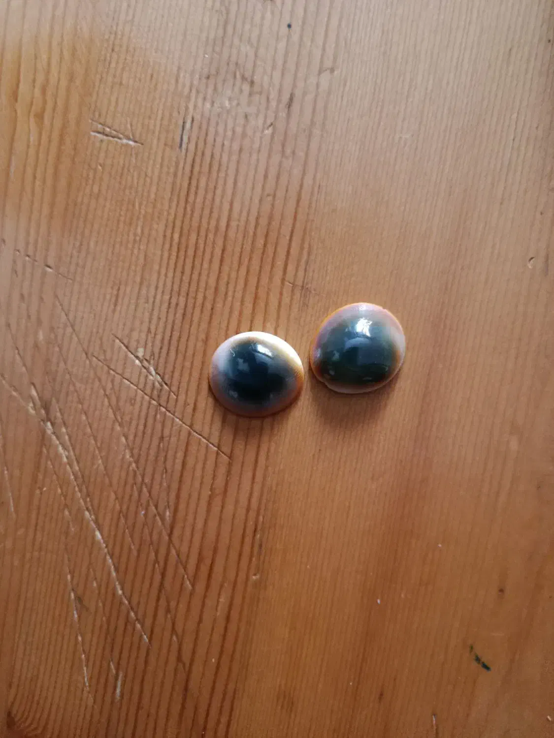 مهرع|بدلیجات|تربت‌حیدریه, شهرک ولیعصر|دیوار