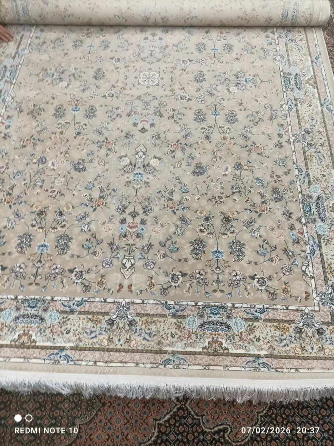 فرش ۶متری نو|فرش|رشت, چمارسرا|دیوار