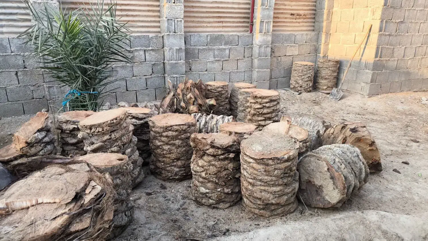 تنه نخل|صنایع دستی و سایر لوازم تزئینی|خورموج, |دیوار