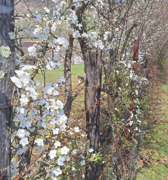 فیش حق تمتع|تور و چارتر|رشت, آب و برق|دیوار