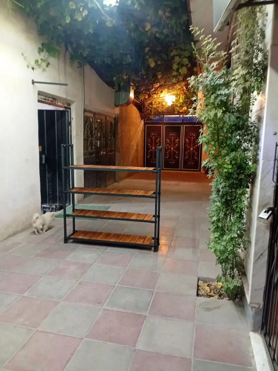 ساخت رگال سازه وارنا|فروشگاه و مغازه|ورامین, ورامین|دیوار