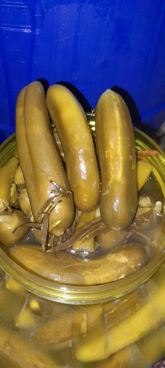 فروش خیارشور محلی با تعم مزه بسیار عالی|خوردنی و آشامیدنی|شیراز, دست خضر|دیوار