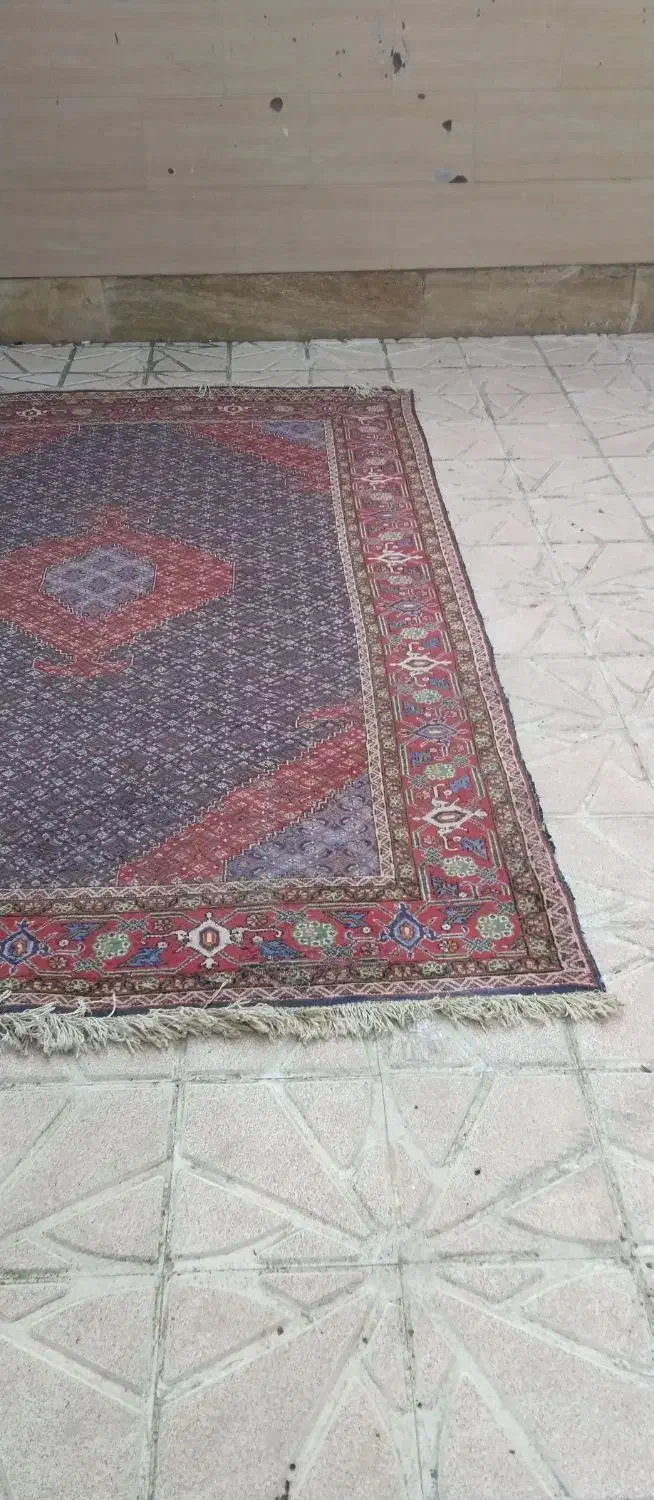 فرش دستبافت ۶ متری|فرش|اردبیل, |دیوار