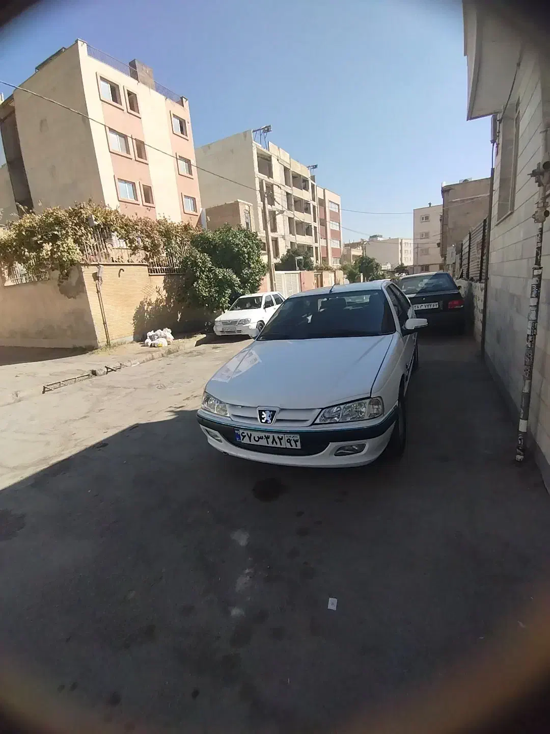 پارس مدل ۹۵ بکر|خودرو سواری و وانت|شیراز, تندگویان|دیوار