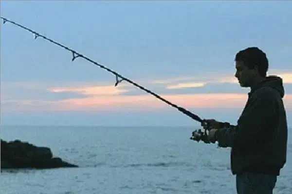 ماهیگیری|فعالیت داوطلبانه|ساری, |دیوار