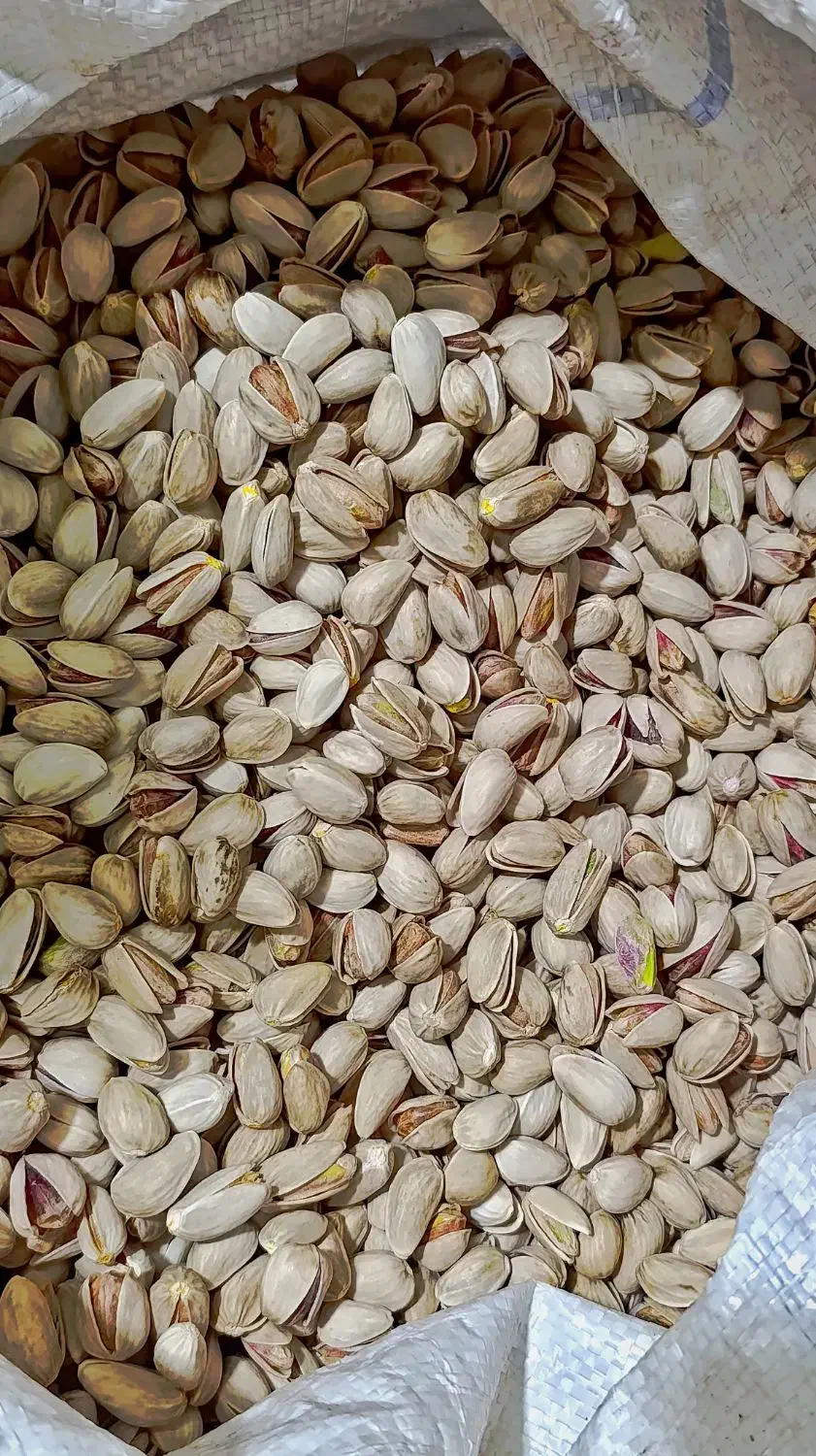 پسته اکبری و خرما زرد عسلی|خوردنی و آشامیدنی|تهران, مدائن|دیوار