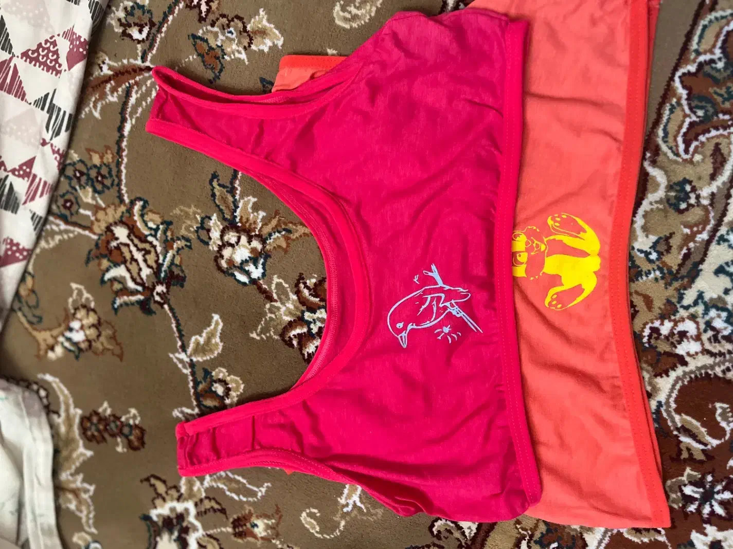 لباس زیر|لباس|آران و بیدگل, |دیوار