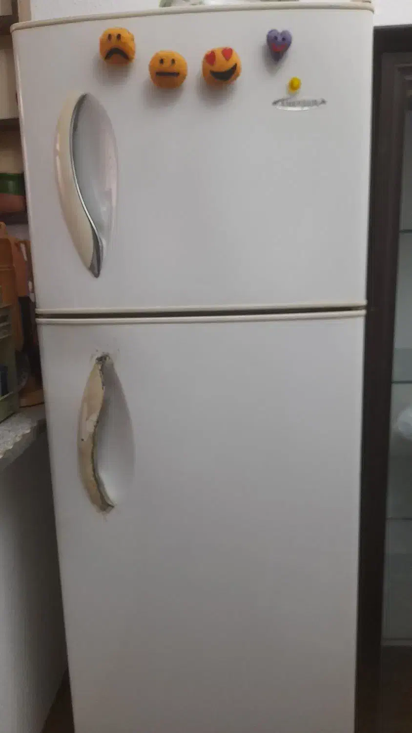 فروش فوری همه باهم لوازم خانه و آشپزخانه|یخچال و فریزر|رشت, معلولین|دیوار