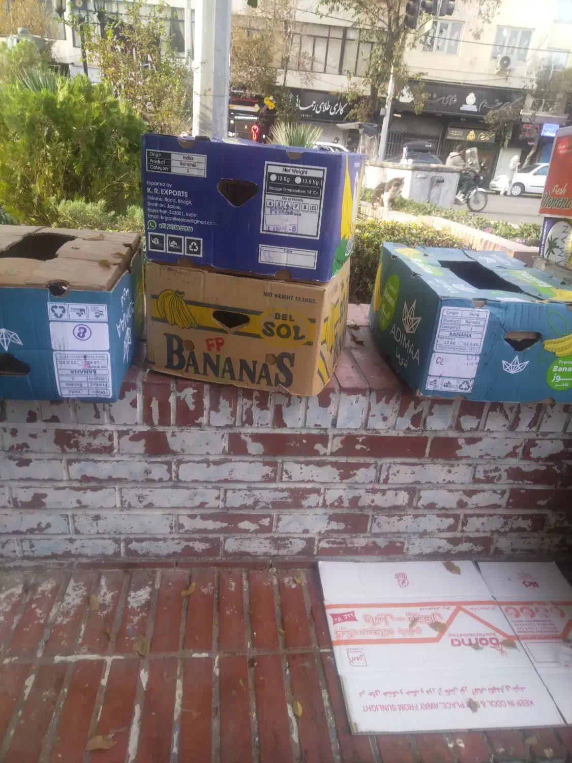 کارتن موزی|عمده‌فروشی|تهران, گرگان|دیوار