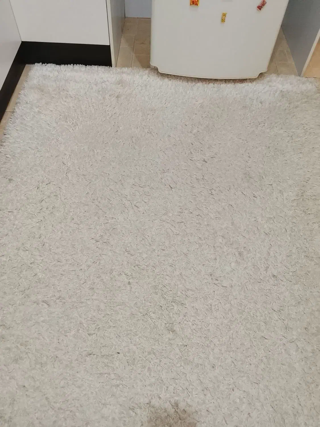 قالیچه شگی ۴در ۱و نیم|فرش|پرند, فاز ۳|دیوار