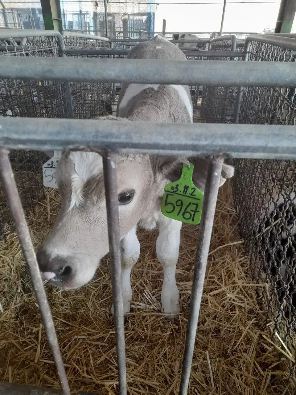 راننده تراکتور|استخدام حمل و نقل|کهریزک, |دیوار