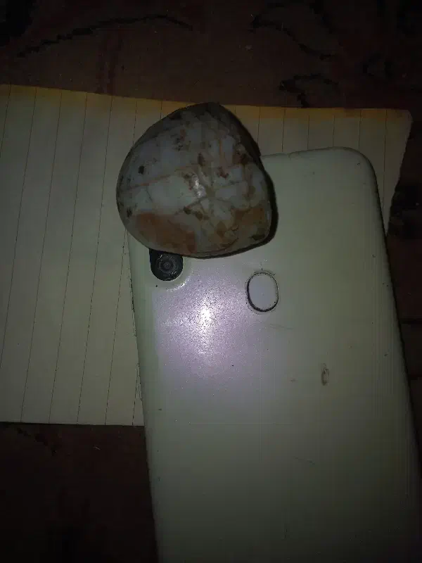 سنگ اوپال کمیاب|جواهرات|صباشهر, |دیوار