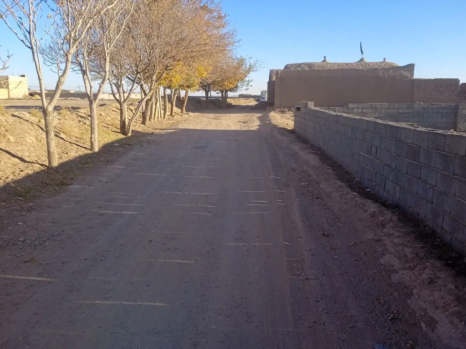 زمین برای باغ طلا|فروش زمین و ملک کلنگی|گناباد, |دیوار