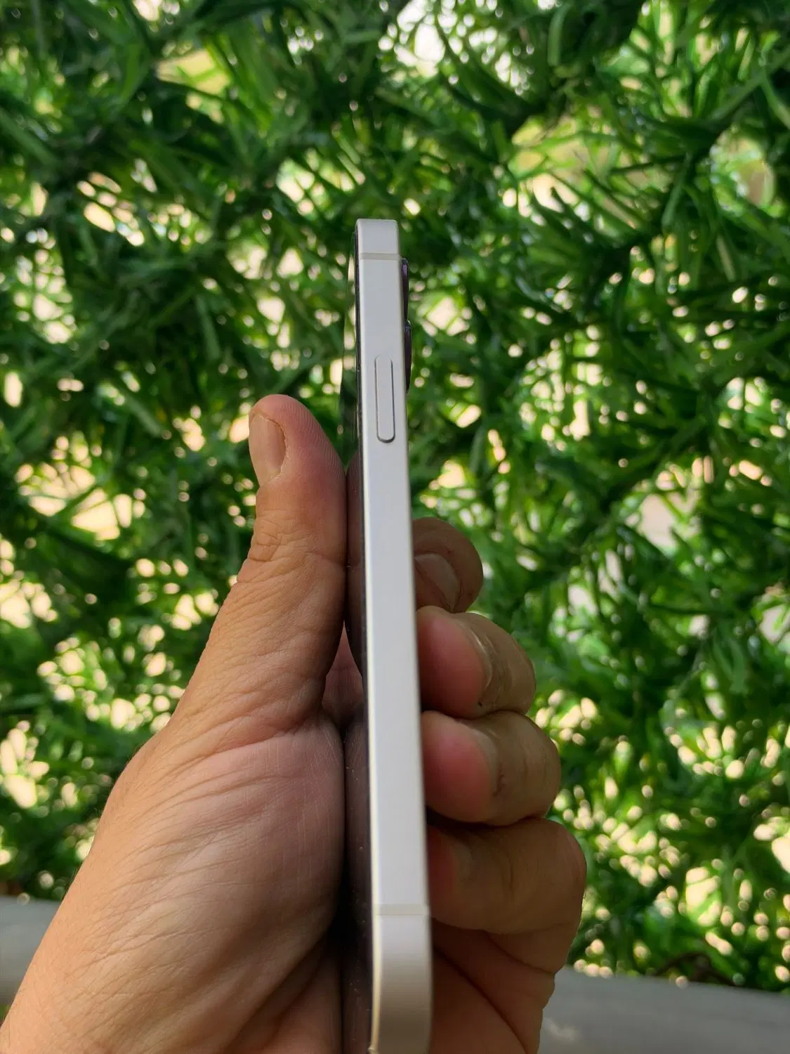iphone 12|موبایل|دوگنبدان, |دیوار