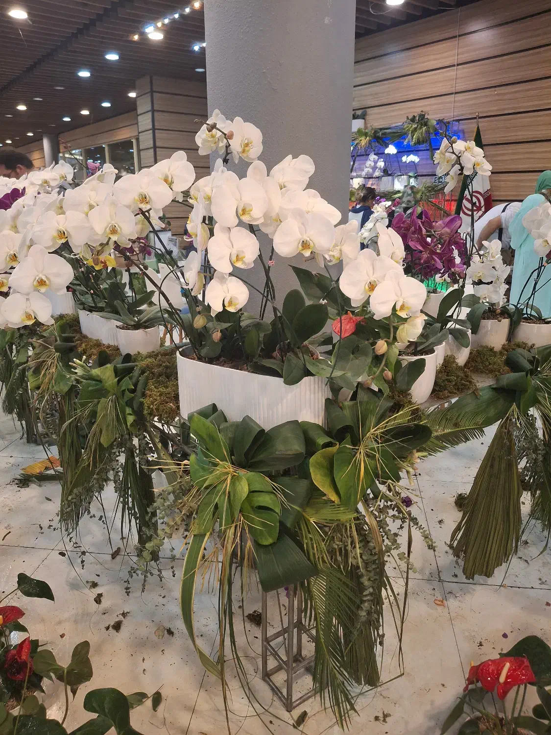 راهنمایی و مشاوره|فعالیت داوطلبانه|تهران, شهرک غرب|دیوار
