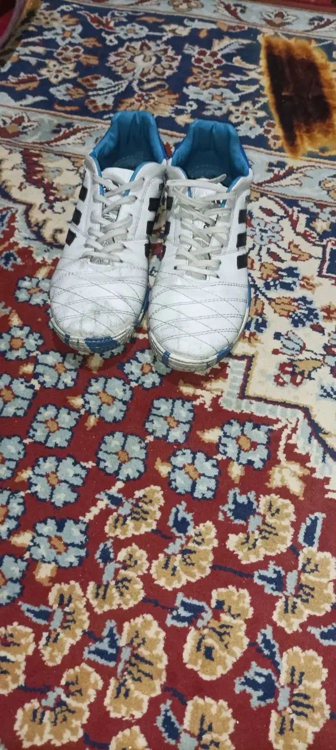 کفش فوتسال|کیف، کفش، کمربند|شوشتر, |دیوار