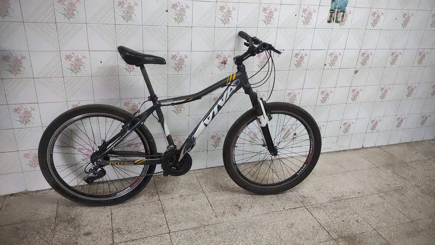 دوچرخه ویوا المینت|دوچرخه، اسکیت، اسکوتر|مراغه, |دیوار