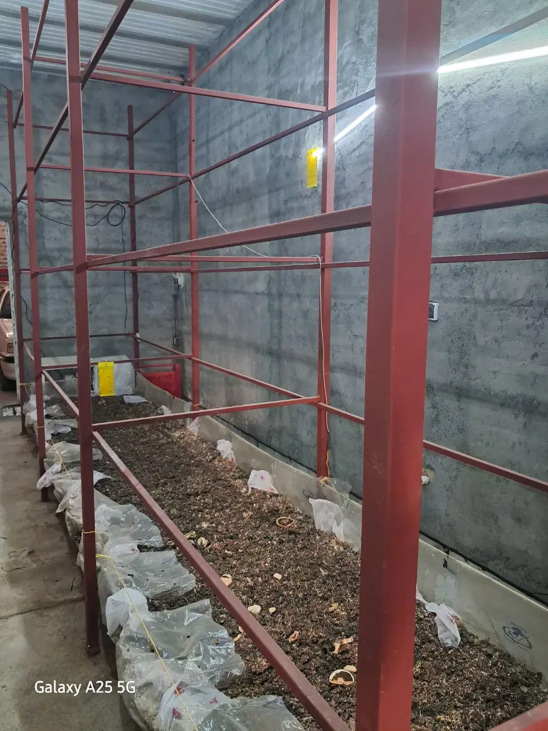 فروش وسایل پرورش قارچ|ماشین‌آلات صنعتی|بلبان آباد, |دیوار