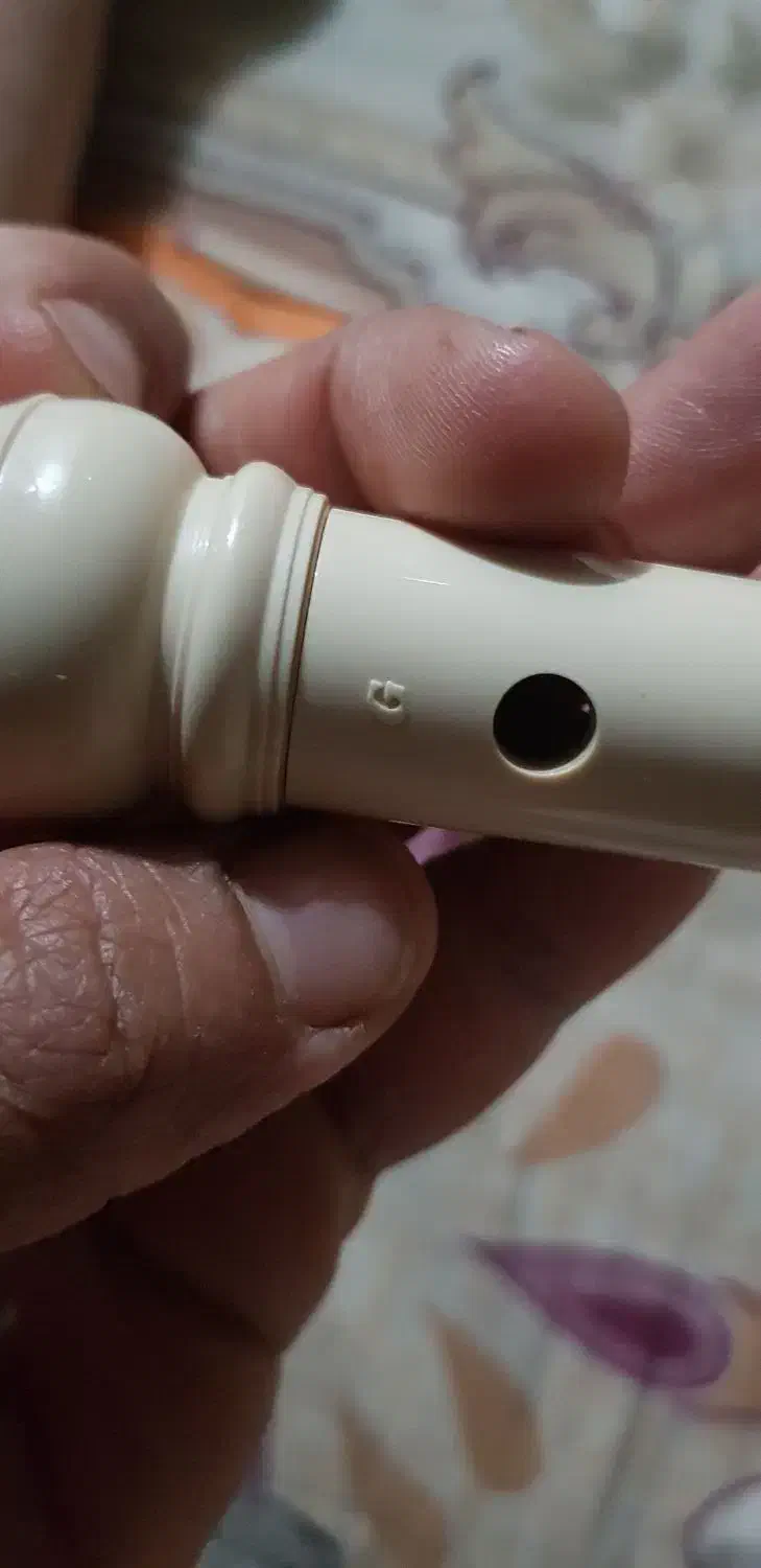 فلوت یاما ها اندونزی|سازهای بادی|شیراز, شهرک مهدی‌آباد|دیوار