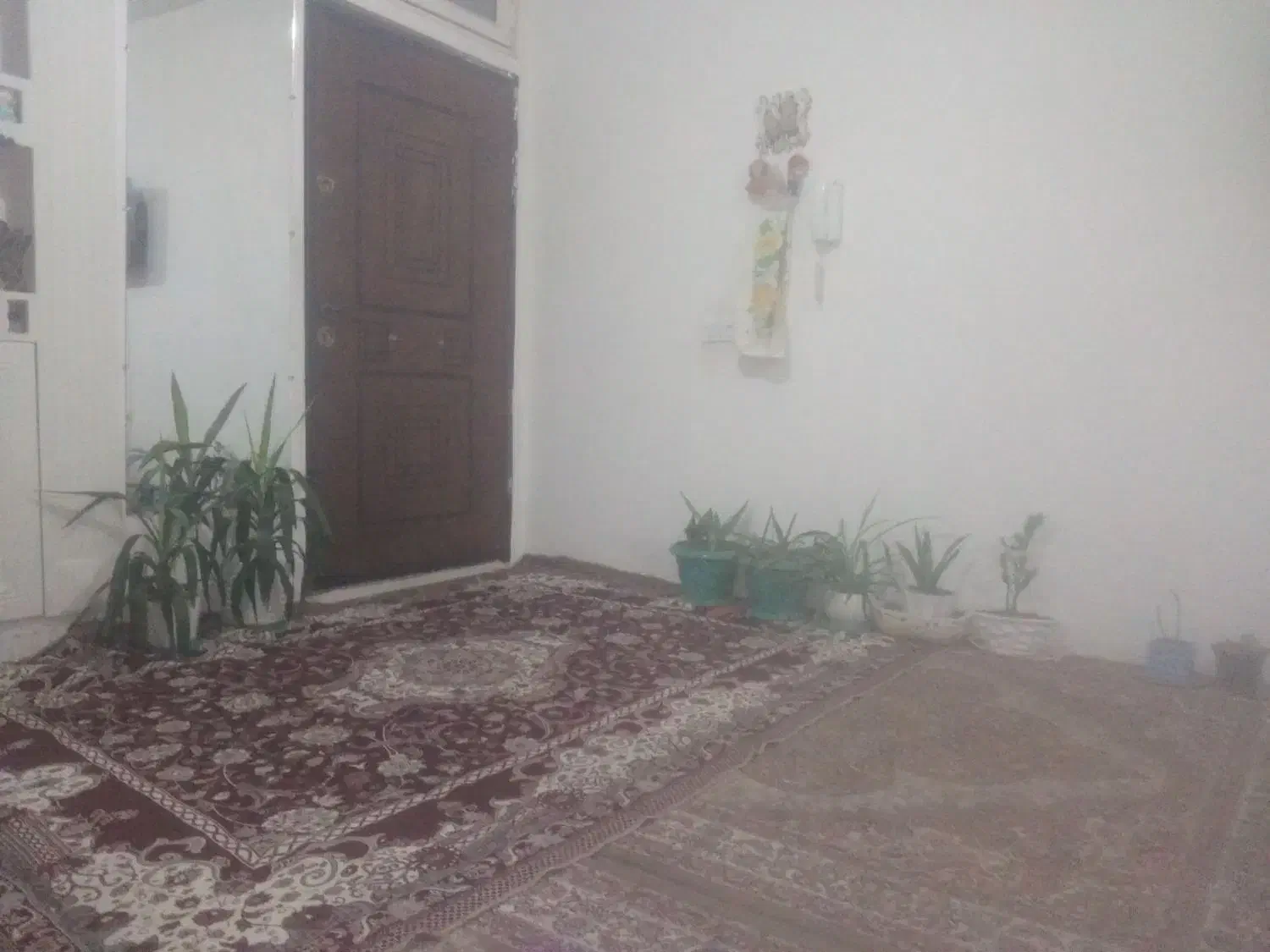 سوییت اجاره طبرسی وشهدا اتاق تک موجود300|اجارهٔ کوتاه‌مدت آپارتمان و سوئیت|مشهد, نظام دوست|دیوار