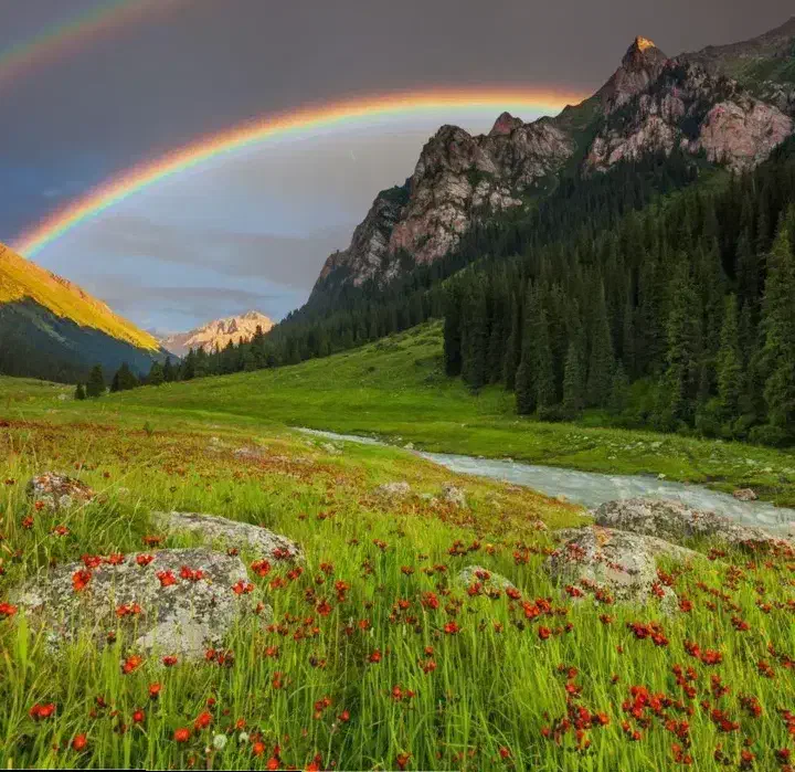 همسفر|فعالیت داوطلبانه|تهران, فلاح|دیوار