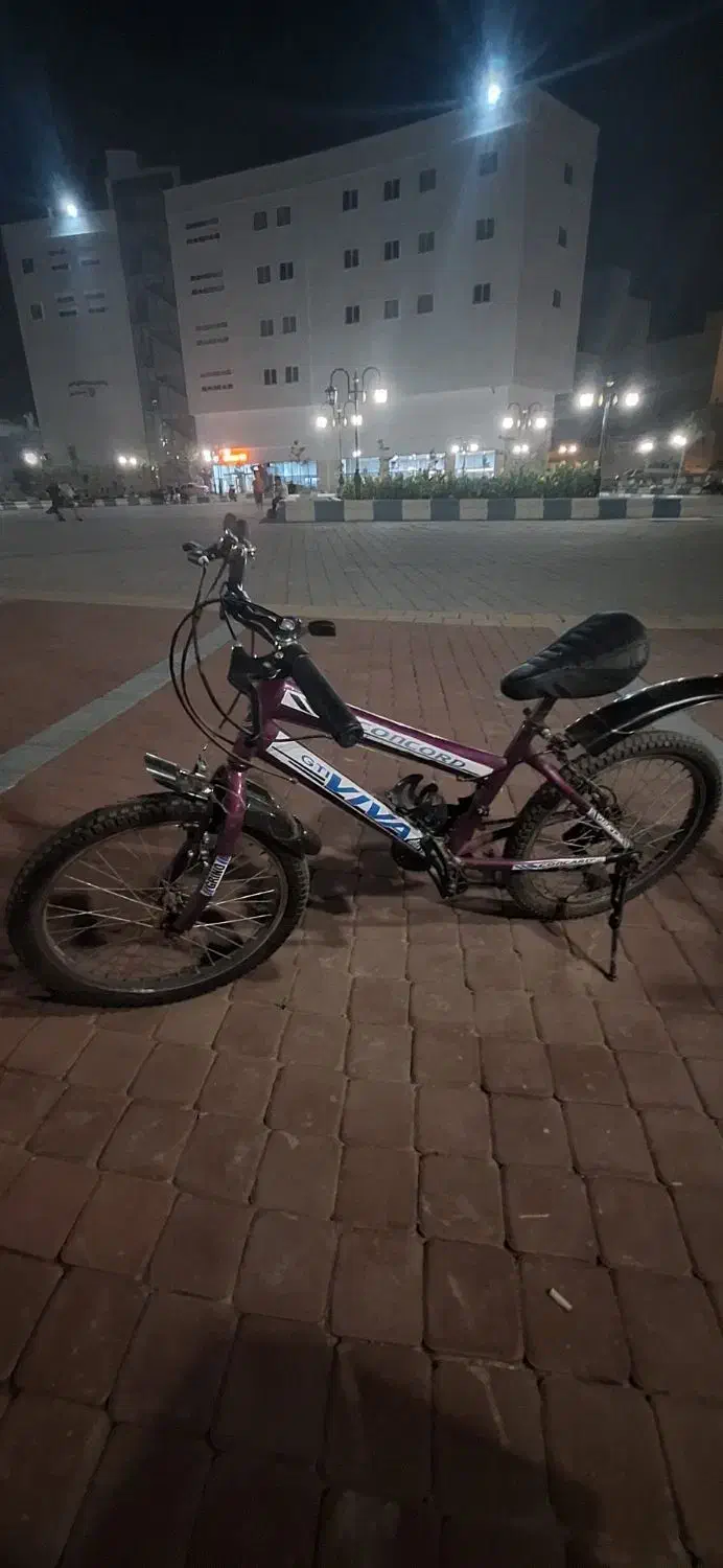 دوچرخه دنده ای سایز ۲۰ ویوا|دوچرخه، اسکیت، اسکوتر|تبریز, |دیوار