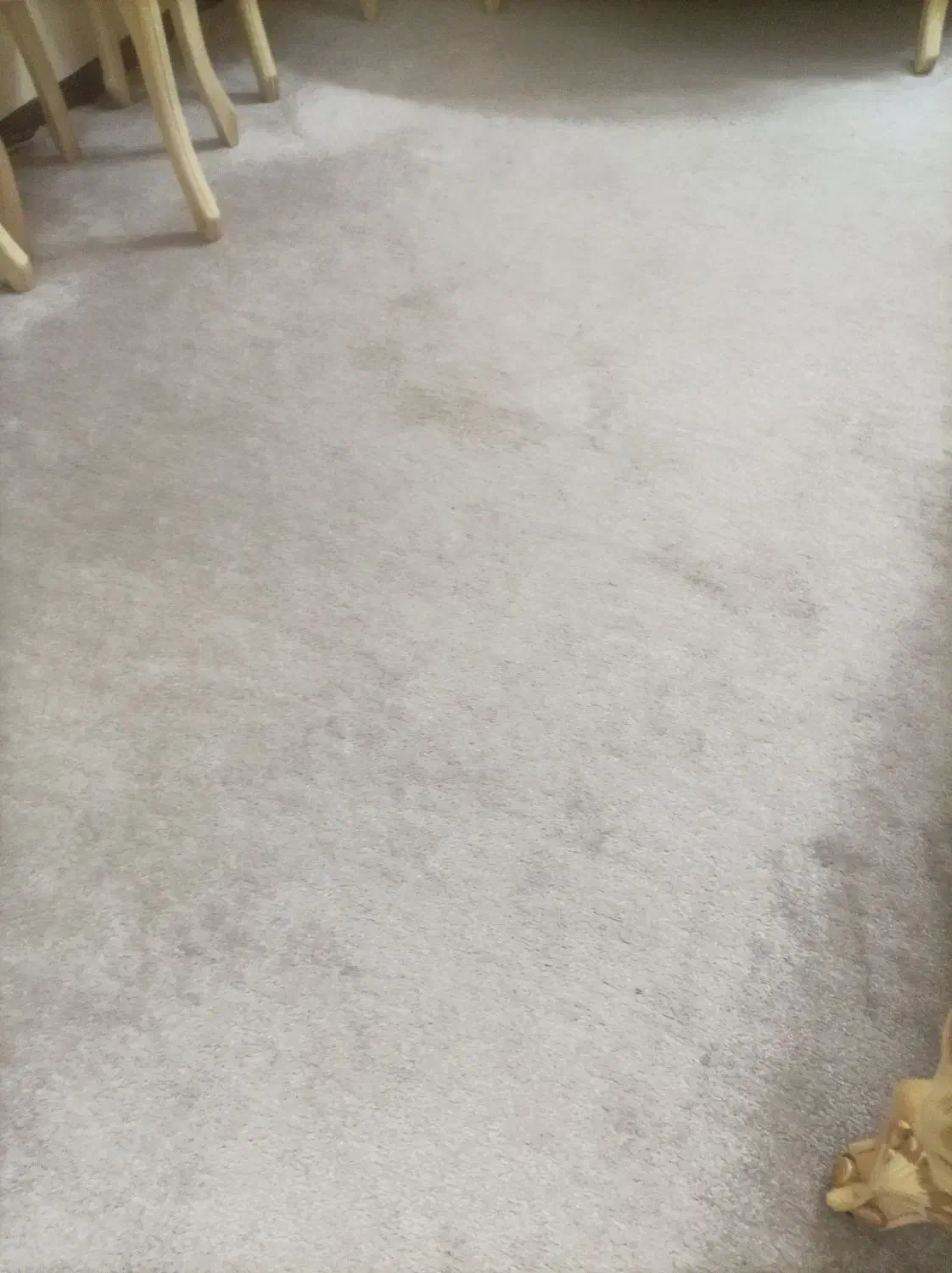 فروش پالاز موکت ب تعداد زیاد|موکت|سمنان, |دیوار