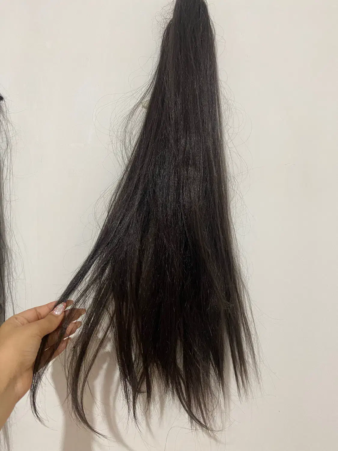 دو عدد کلاه گیس بلند|آرایشی، بهداشتی، درمانی|گنبد کاووس, |دیوار