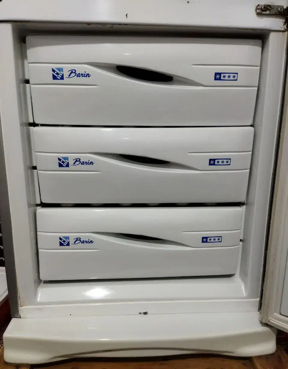 یخچال|یخچال و فریزر|بیرجند, |دیوار