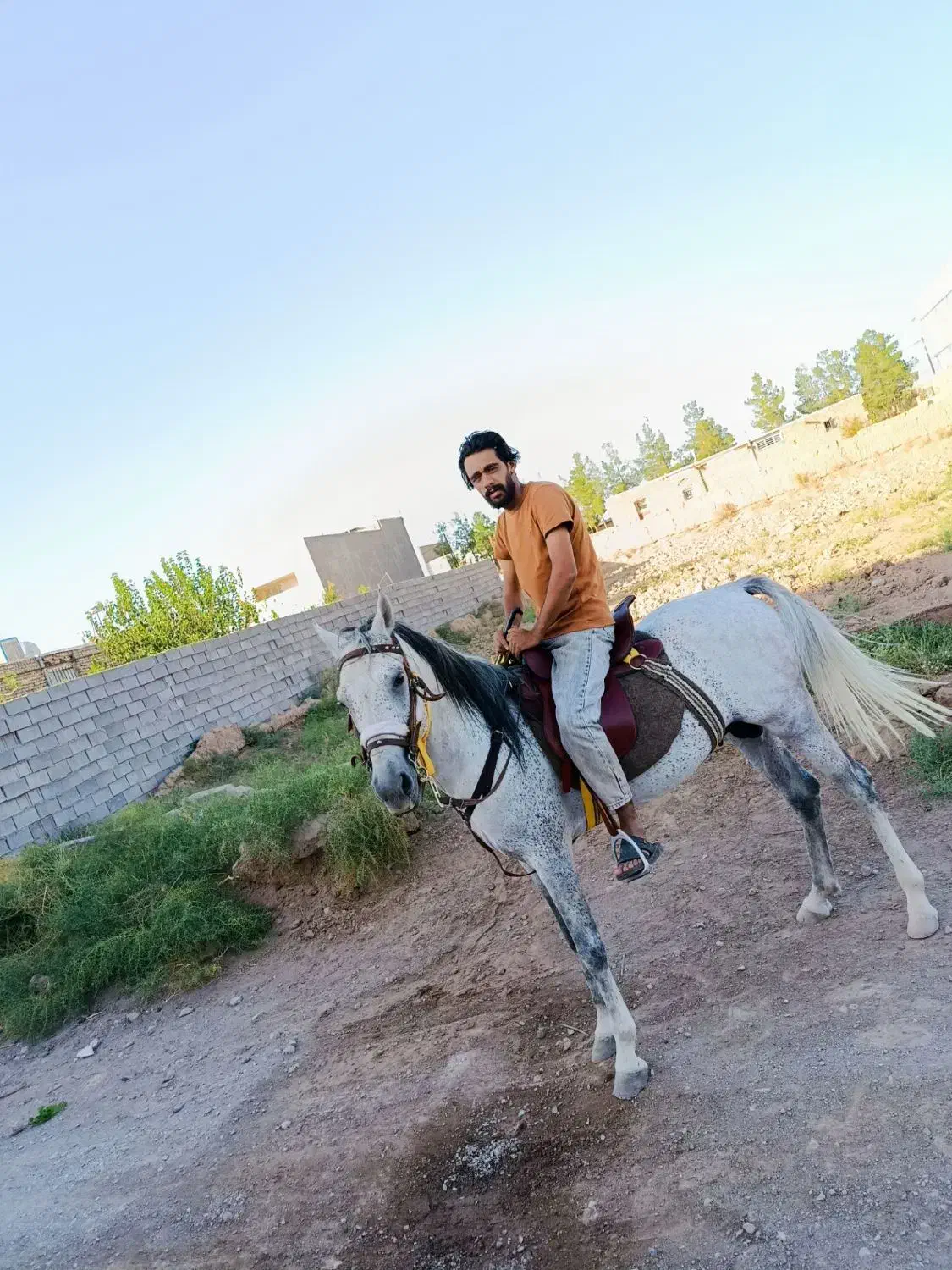 اسب کرد|اسب و تجهیزات اسب‌سواری|مشهد, انقلاب|دیوار