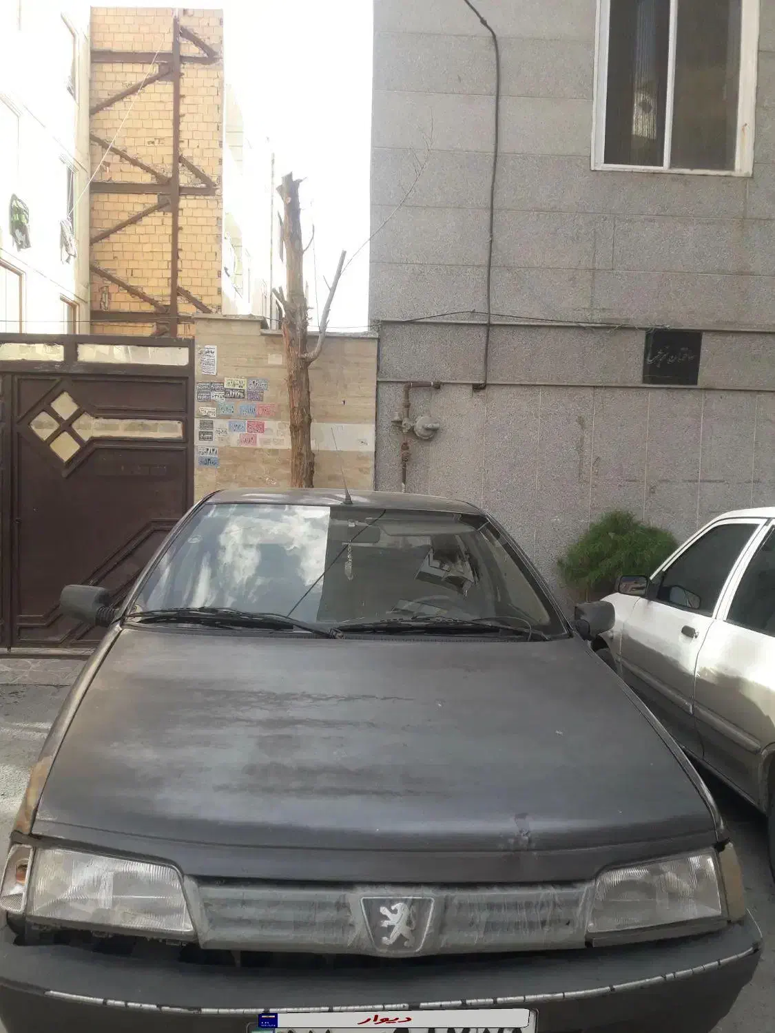 روا۸۵|خودرو سواری و وانت|قرچک, میرزائی جنوبی|دیوار