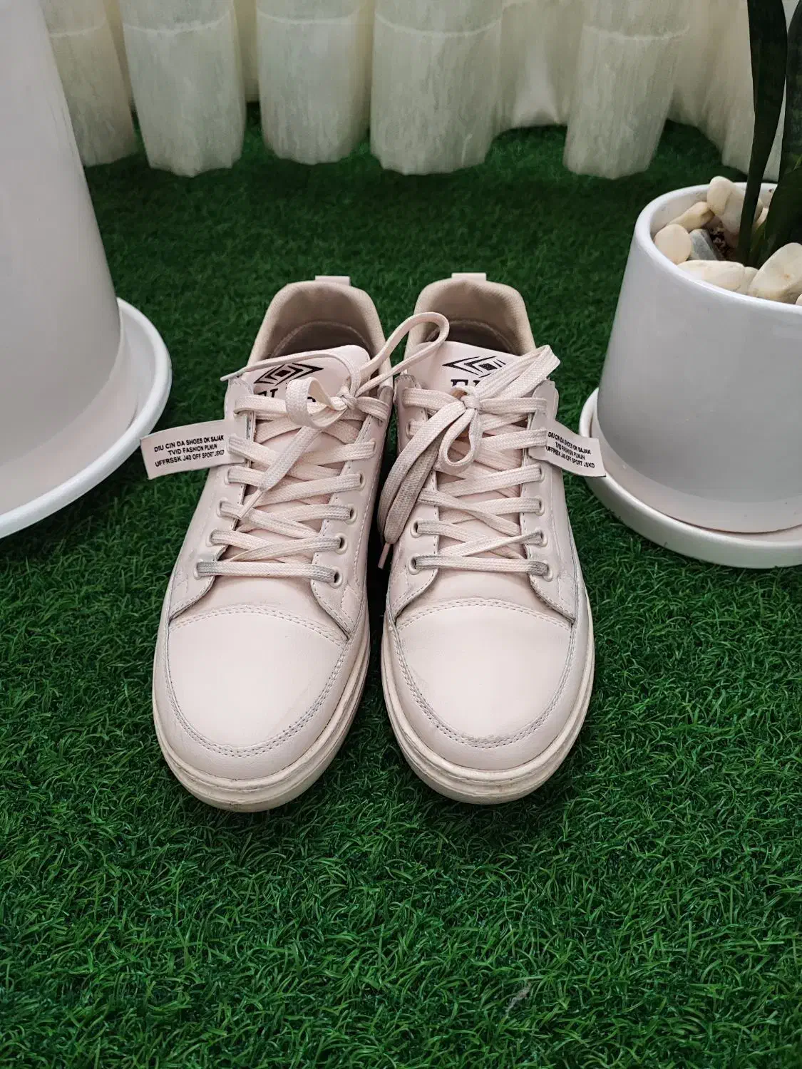 کفش ونس سایز ۳۹|کیف، کفش، کمربند|هشتگرد, شهرک اداری|دیوار