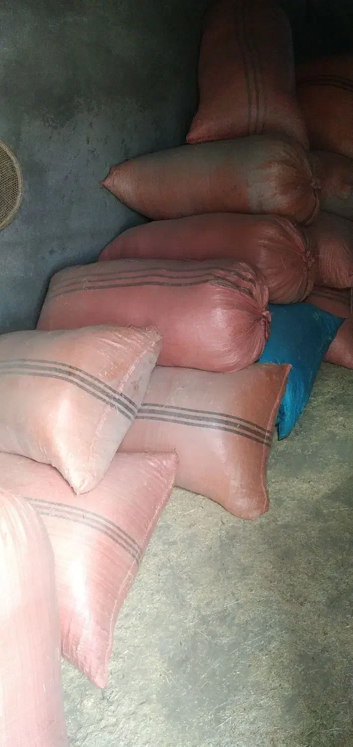 کاه سفید|لوازم جانبی حیوانات|نهاوند, |دیوار