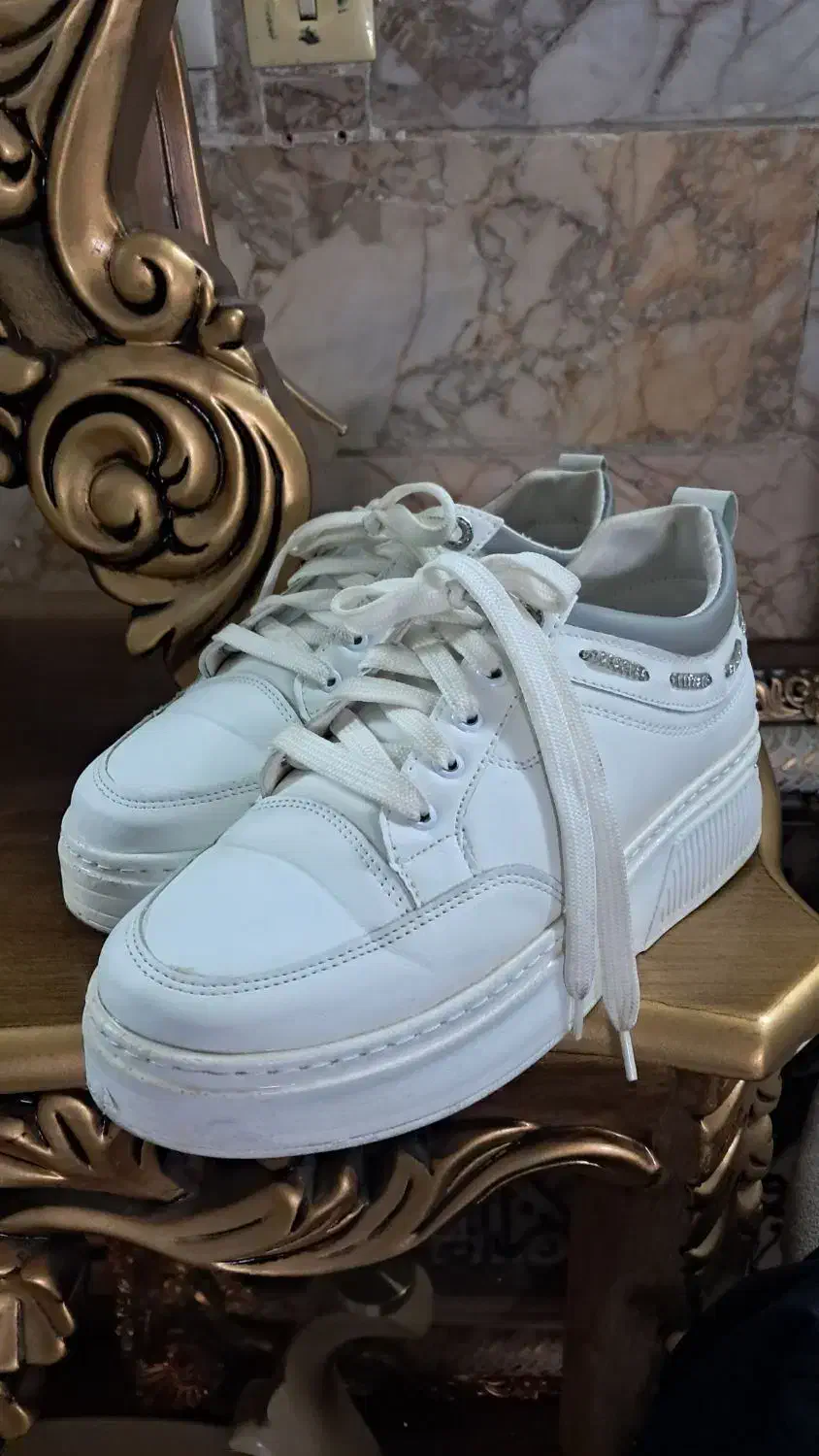 کفش|کیف، کفش، کمربند|مشهد, امام رضا (ع)|دیوار