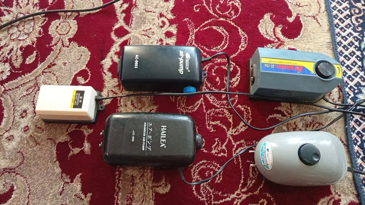 پمپ اکسیژن اکواریوم|ماهی|قرق, |دیوار