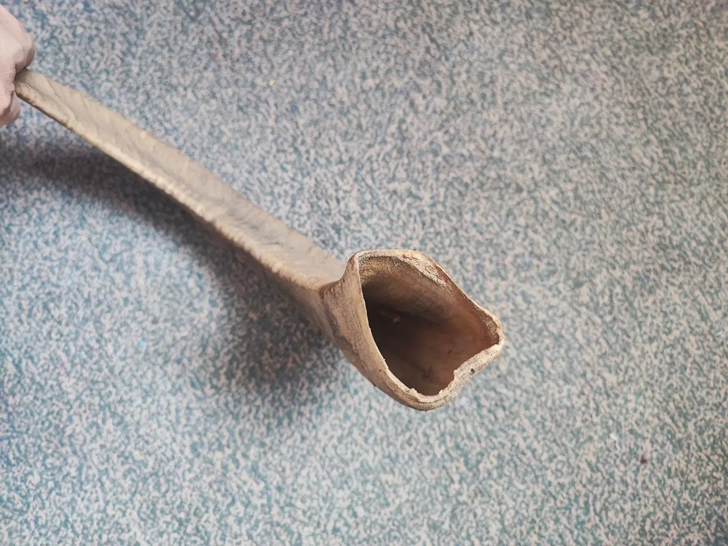 شاخ قوچ کوهی|کلکسیون اشیاء عتیقه|تهران, امام حسین|دیوار