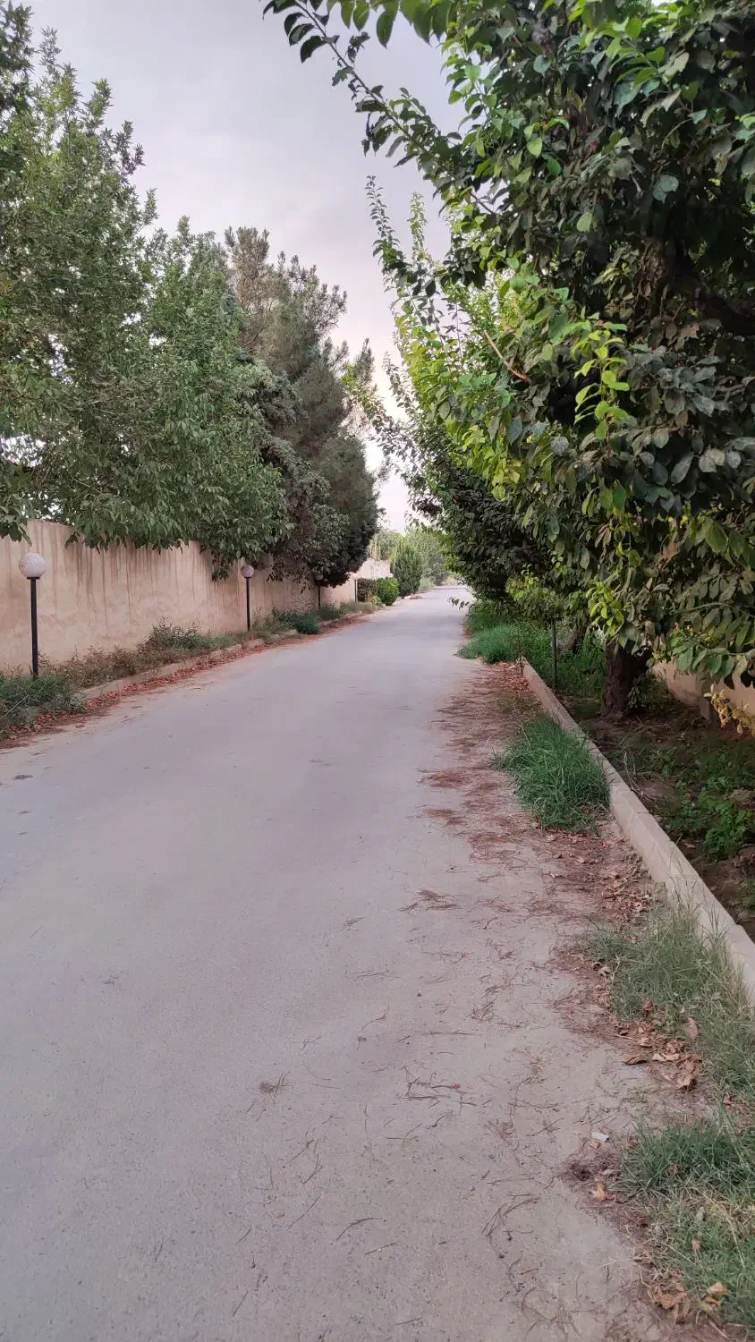 زمین باغی آماده ساخت ویلا۴۵۶متری کردان.تهراندشت|فروش زمین و ملک کلنگی|کرج, عظیمیه|دیوار