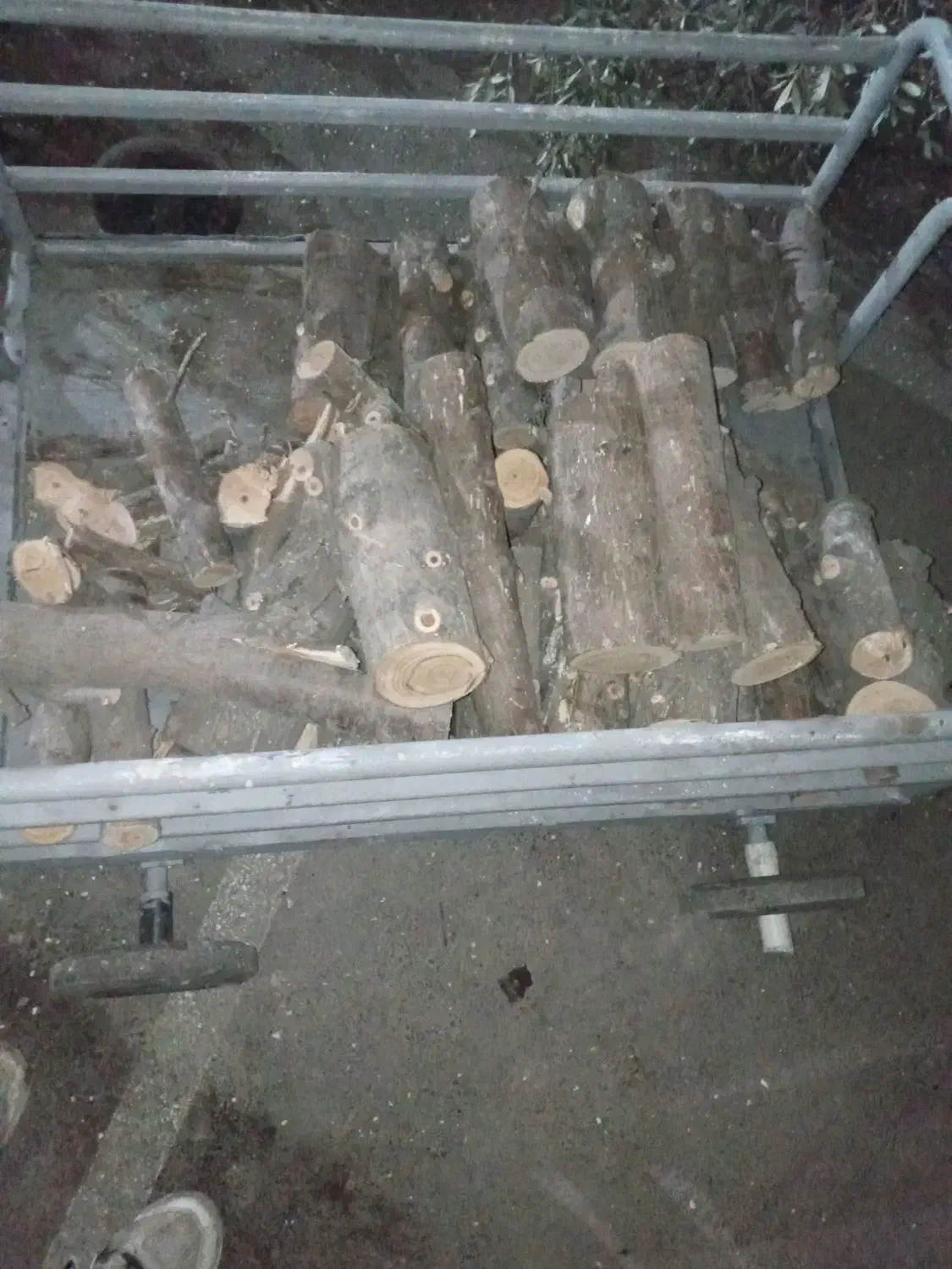 خریدوقطع و حرص درخت در محل شما|خدمات باغبانی و درختکاری|ری, علایین|دیوار