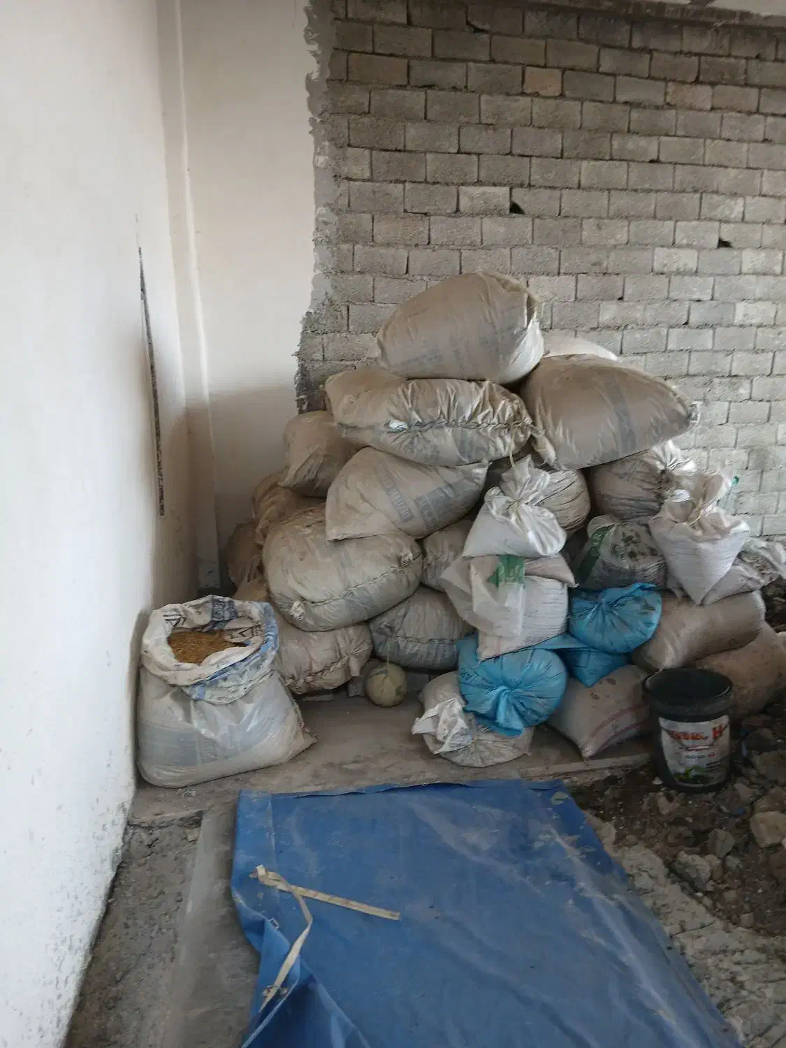 کاه عدس|عمدهفروشی|ویلکیج, |دیوار