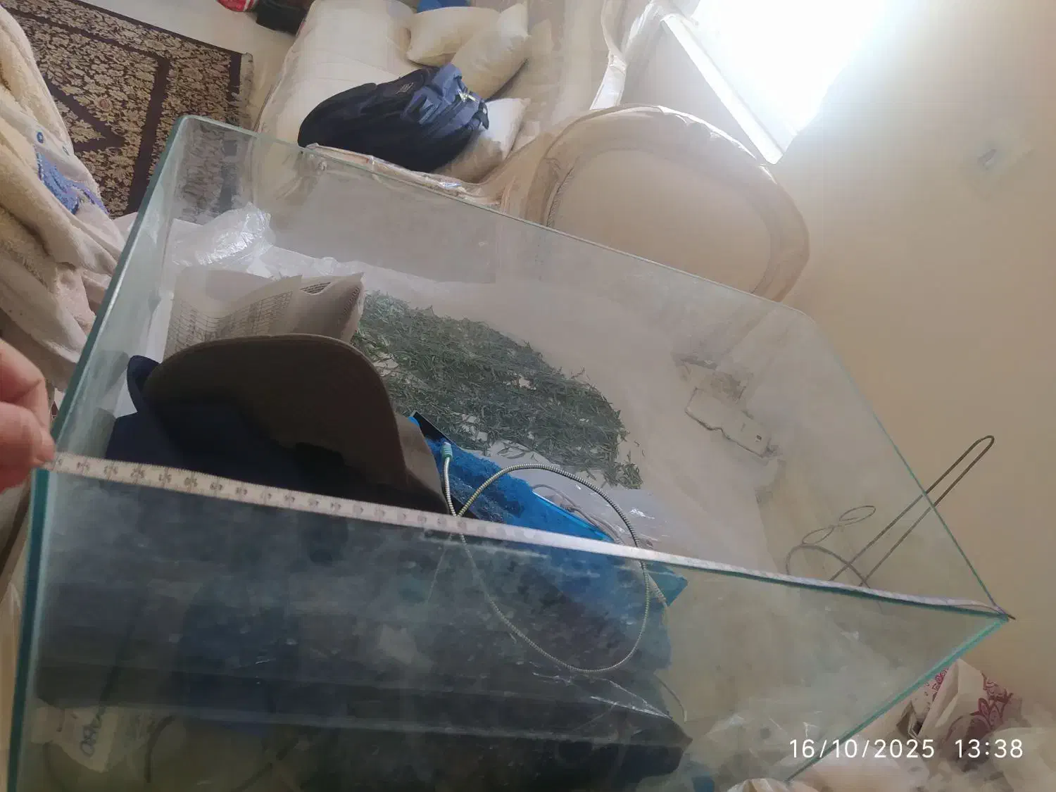 اکواریوم شیشه خم|ماهی|کرج, پیشاهنگی|دیوار