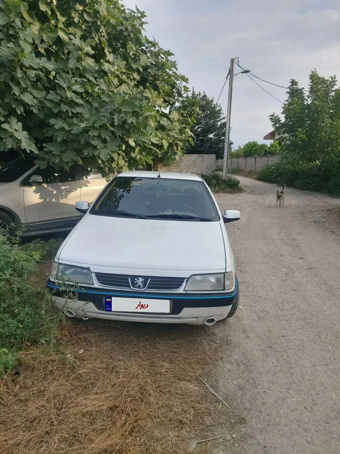 پژو۴۰۵slxدوگانه کارخانه|خودرو سواری و وانت|سورک, |دیوار