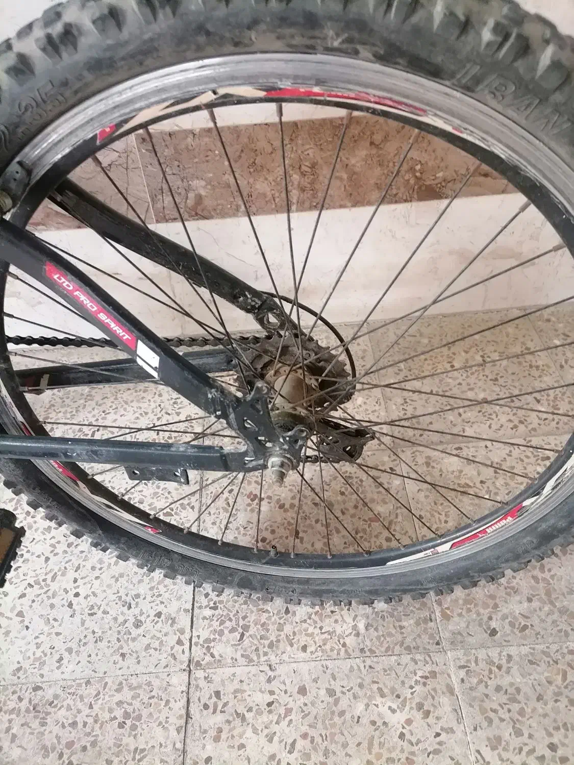 دوچرخه دنده ای|دوچرخه، اسکیت، اسکوتر|شوشتر, |دیوار